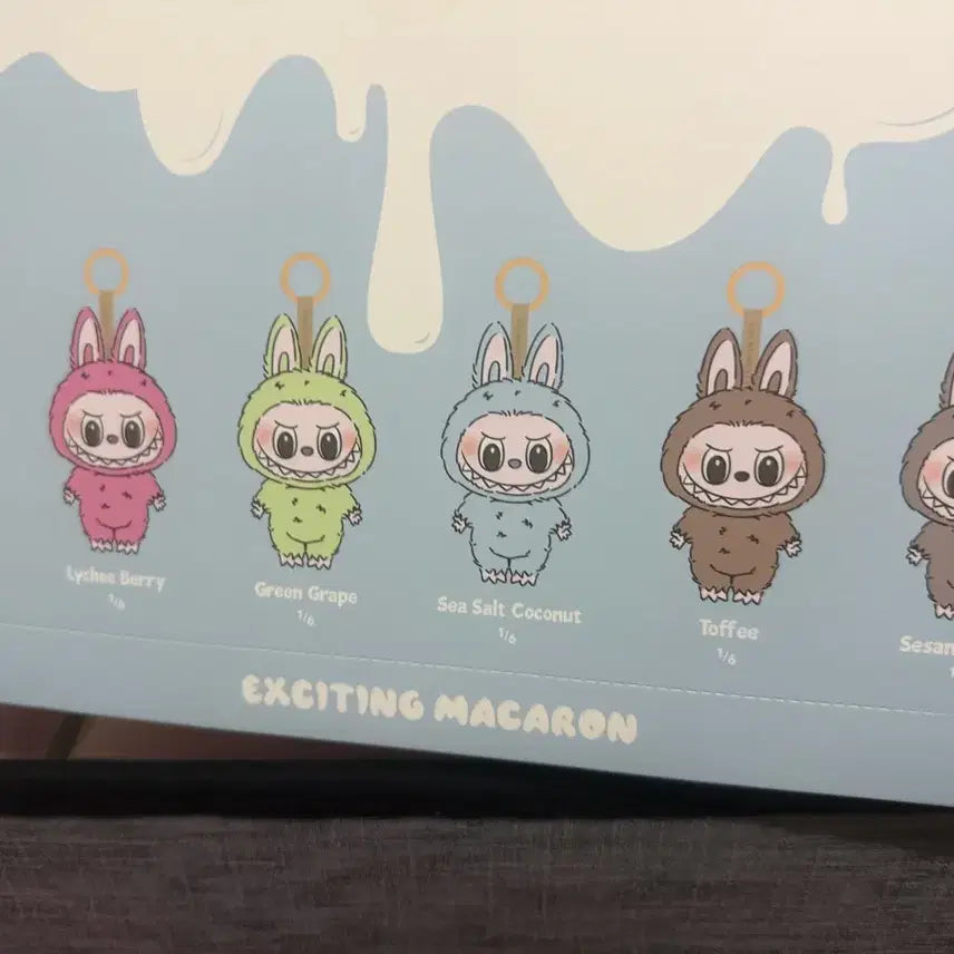 [BUNJANG] Labubu Macaron Series Full Box / 라부부 마카롱 풀박스