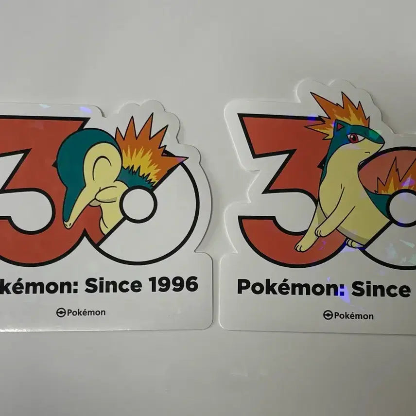 [BUNJANG] Pokemon 30th Anniversary Sticker Set (Charizard &amp; Magmar) - Korea Exclusive / (한국한정) 포켓몬 30주년 기념 스티커 브케인 마그케인 세트
