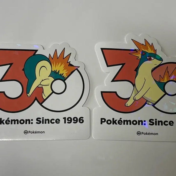 [BUNJANG] Pokemon 30th Anniversary Sticker Set (Charizard &amp; Magmar) - Korea Exclusive / (한국한정) 포켓몬 30주년 기념 스티커 브케인 마그케인 세트