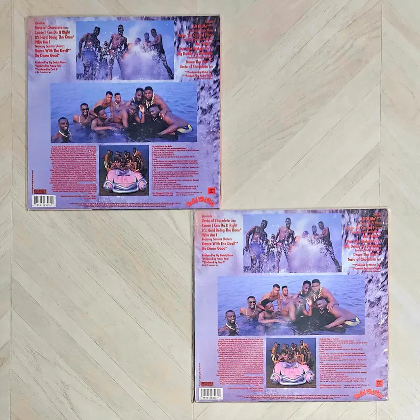 [BUNJANG] Big Daddy Kane Taste of Chocolate Original US Pressing LP / Big Daddy Kane Taste of Chocolate 미국반 LP