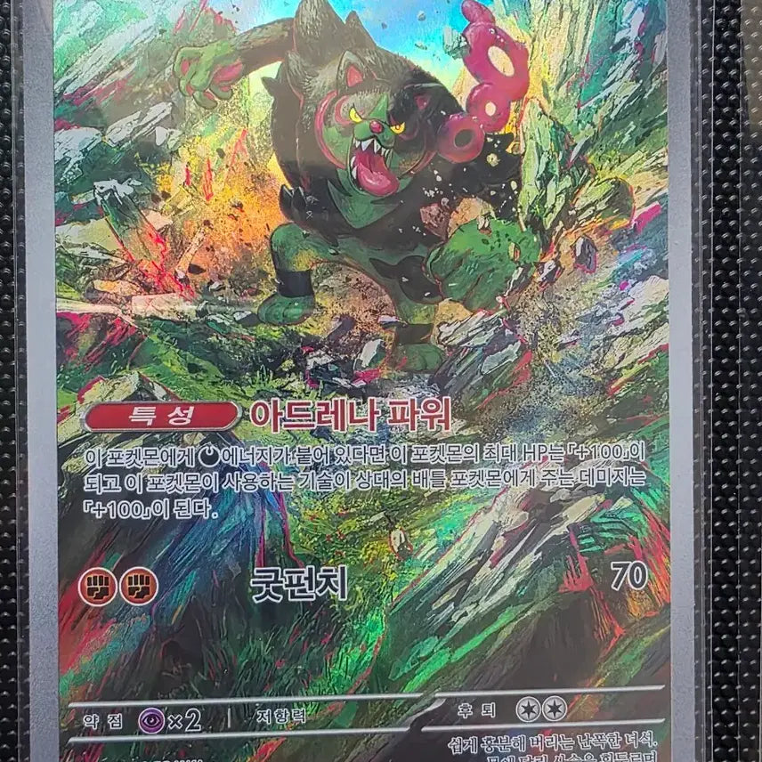 [BUNJANG] Pokemon Zodiak AR Card / 포켓몬 조타구 AR 카드
