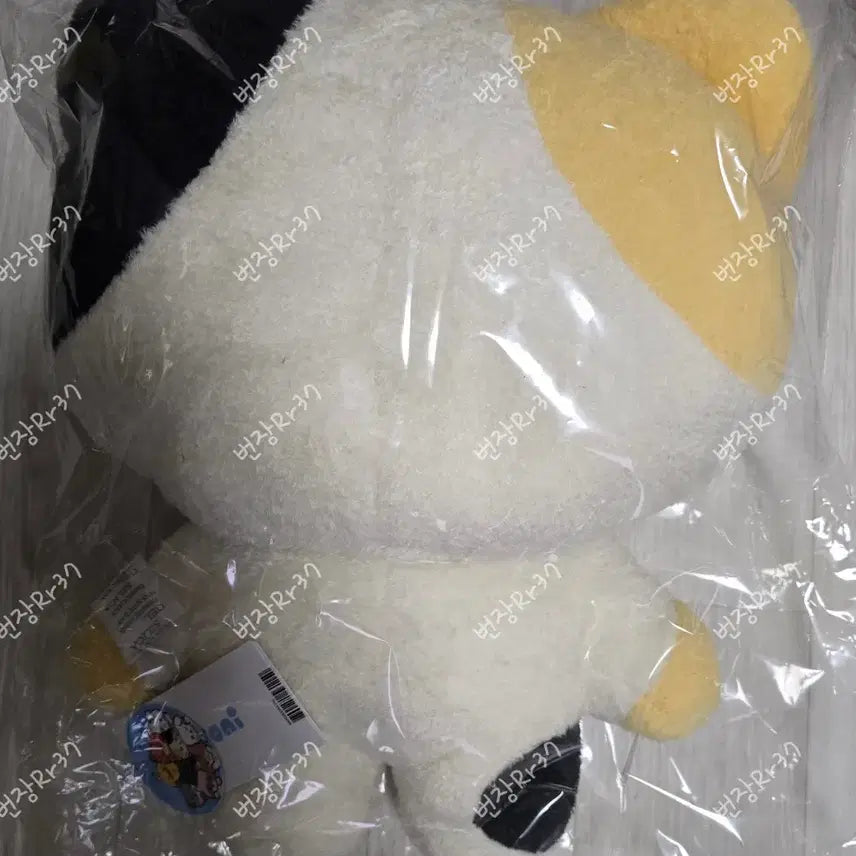 [BUNJANG] ZB1 Ricky "Linini" Large Flat Cushion / 제베원 앤더블 리키 제로니 리니니 플랫쿠션 대왕 리니니 대형 리니니