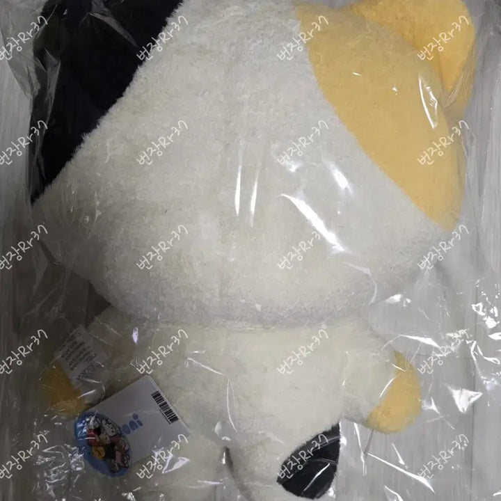 [BUNJANG] ZB1 Ricky "Linini" Large Flat Cushion / 제베원 앤더블 리키 제로니 리니니 플랫쿠션 대왕 리니니 대형 리니니