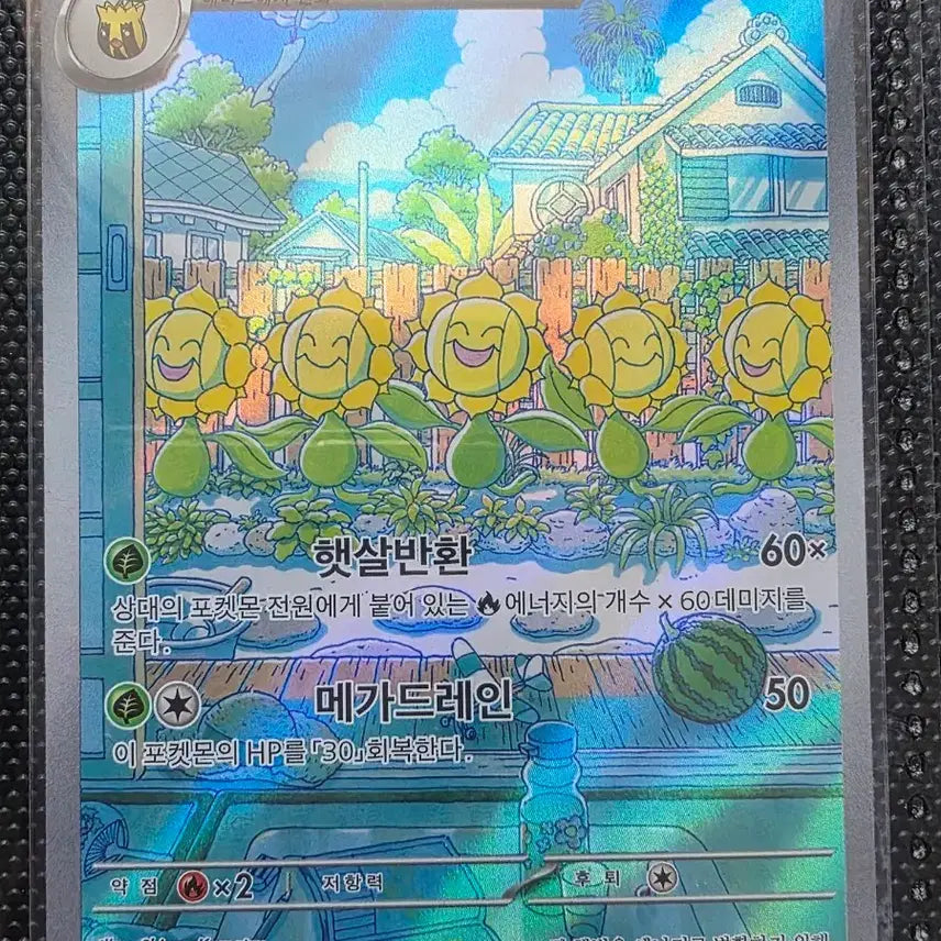 [BUNJANG] Pokemon Rummy AR Card / 포켓몬 해루미 AR 카드