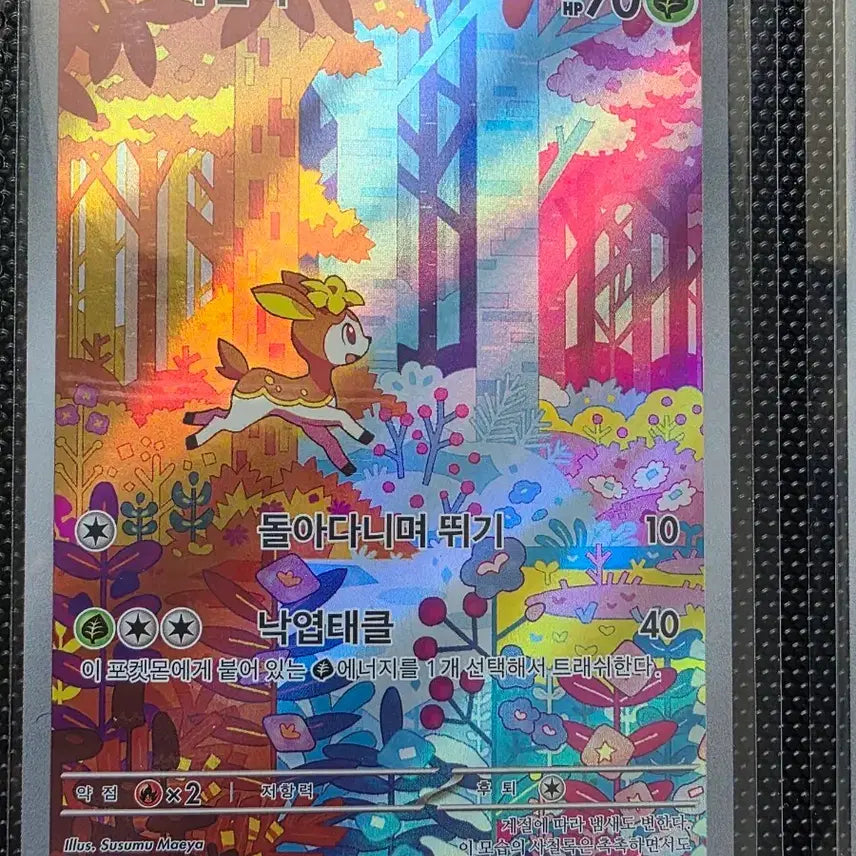 [BUNJANG] Pokemon Sachyeolrok AR Card / 포켓몬 사철록 AR 카드