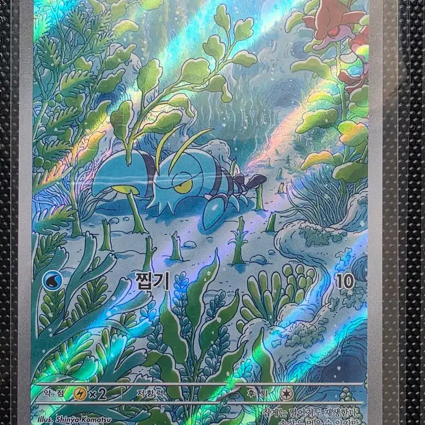 [BUNJANG] Pokemon Iron Ball AR Card / 포켓몬 완철포 AR 카드