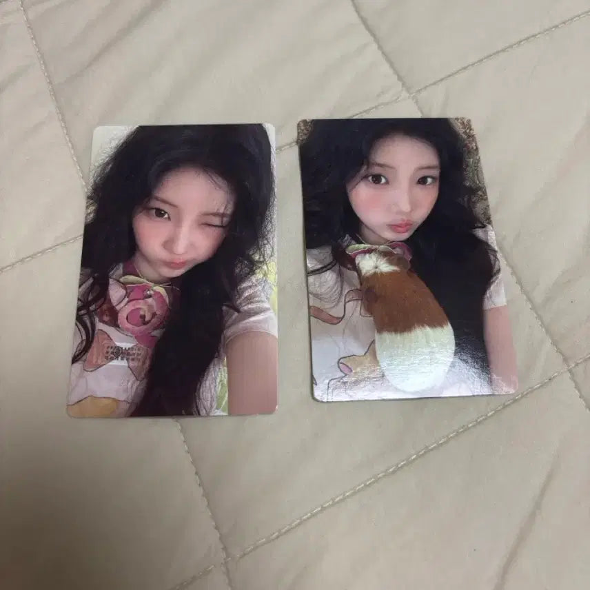 [BUNJANG] Paw Paw Wonhee Lucky Draw Photocard Bundle Set / paw paw 원희 앨포 포카 일괄 판매