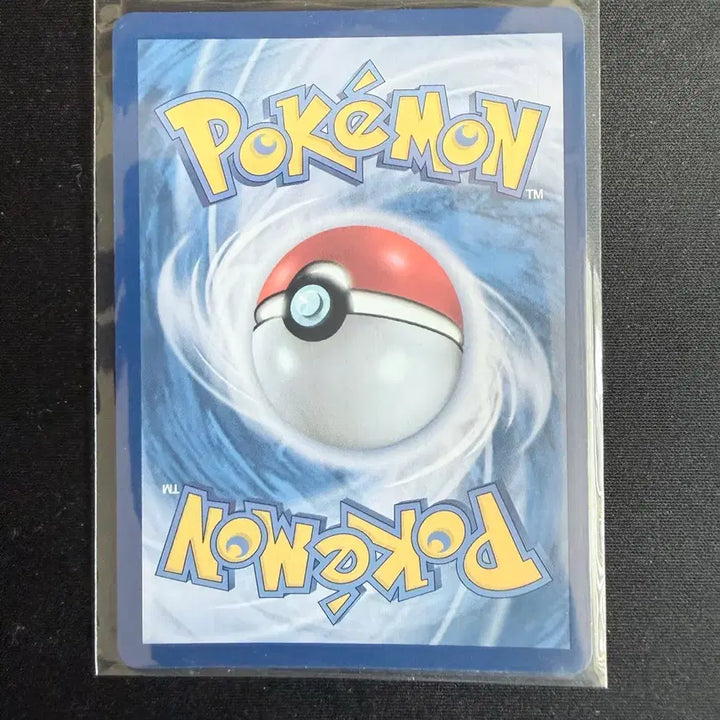 [BUNJANG] Pokemon Salamence ex 119/100 SR Card / 포켓몬 보만다 ex 119/100 SR 카드