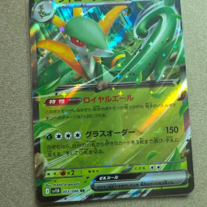 [BUNJANG] Pokemon Card Serperior ex SAR Japanese / 포켓몬 카드 샤로다 ex sar 일판