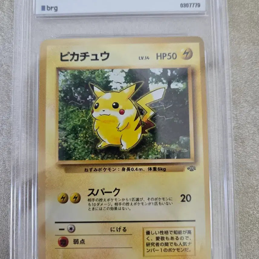 [BUNJANG] Pikachu Jungle Set 1st Edition PSA 9 Graded Card / 1997 정글피카츄 brg9 판매합니다 교환문의o