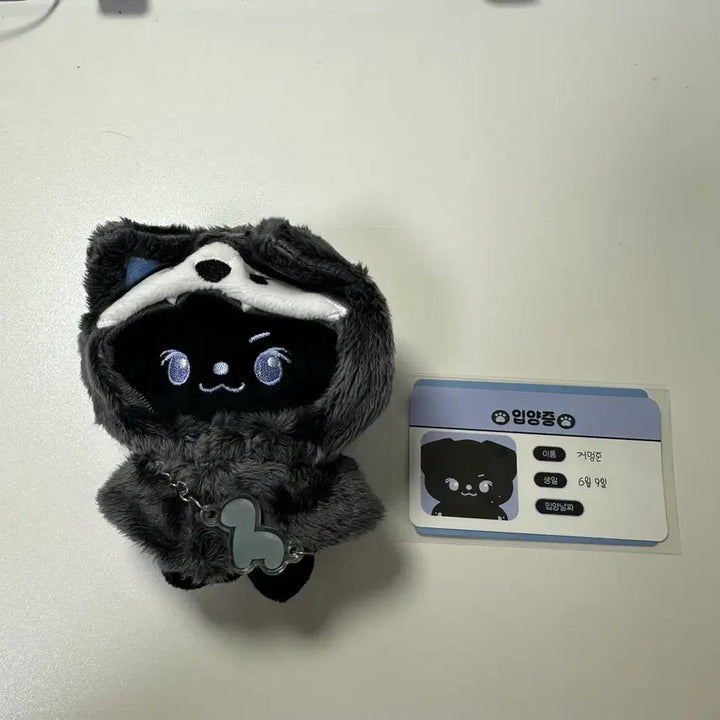 [BUNJANG] Namjoon RM 10cm Doll Full Set / 거멍준(허남준 인형) 풀세트