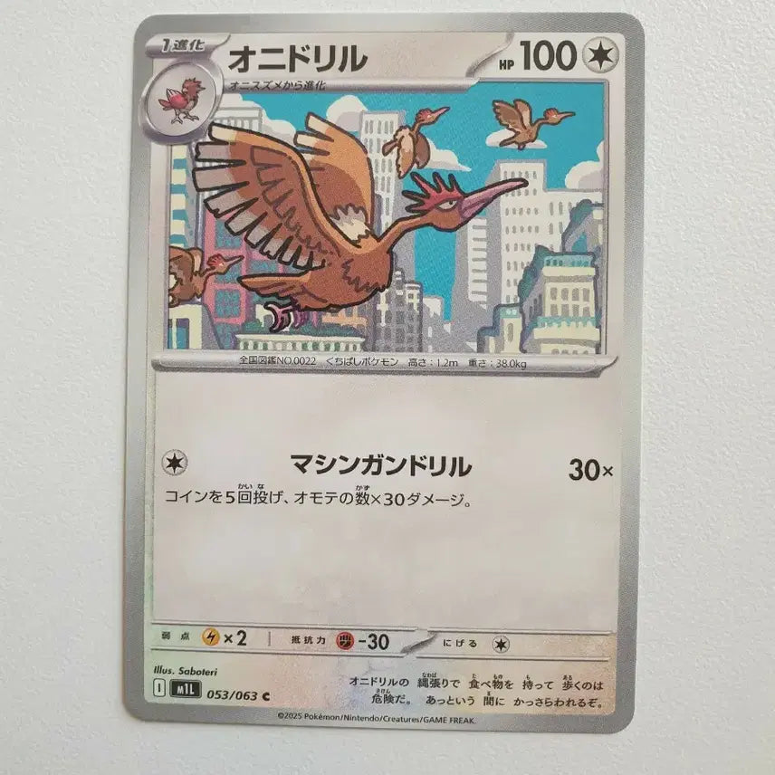 [BUNJANG] Japanese Edition Moltres Pokemon Card / 일판/깨비드릴조 포켓몬카드