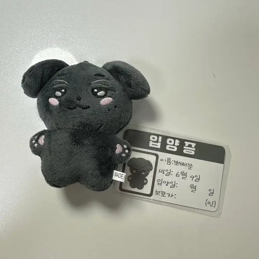 [BUNJANG] HobiJoon (Heo Namjoon) 10cm Doll / 뽀삐쭌(허남준 인형) 판매