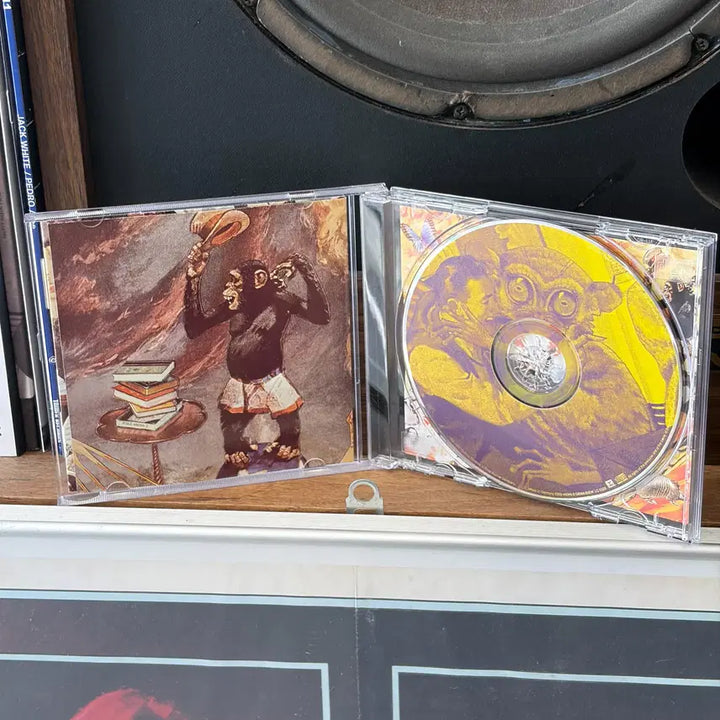 [BUNJANG] Green Day Insomniac CD / 그린데이 Insomniac cd