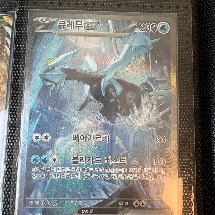 [SOLD OUT] 큐레무 sar