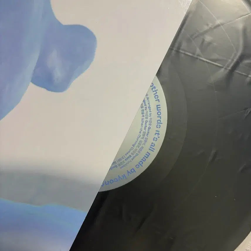 [BUNJANG] Lee Seung Hyub "Seize The Day" LP Vinyl / 이강승 LP