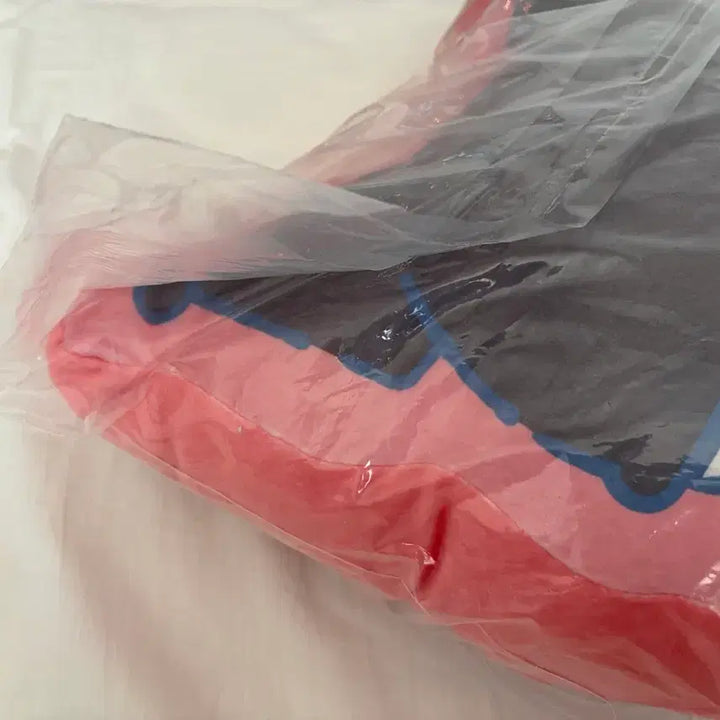 [BUNJANG] PLAVE Eunho Ppoo Cushion / 플레이브 은호 뿌 쿠션
