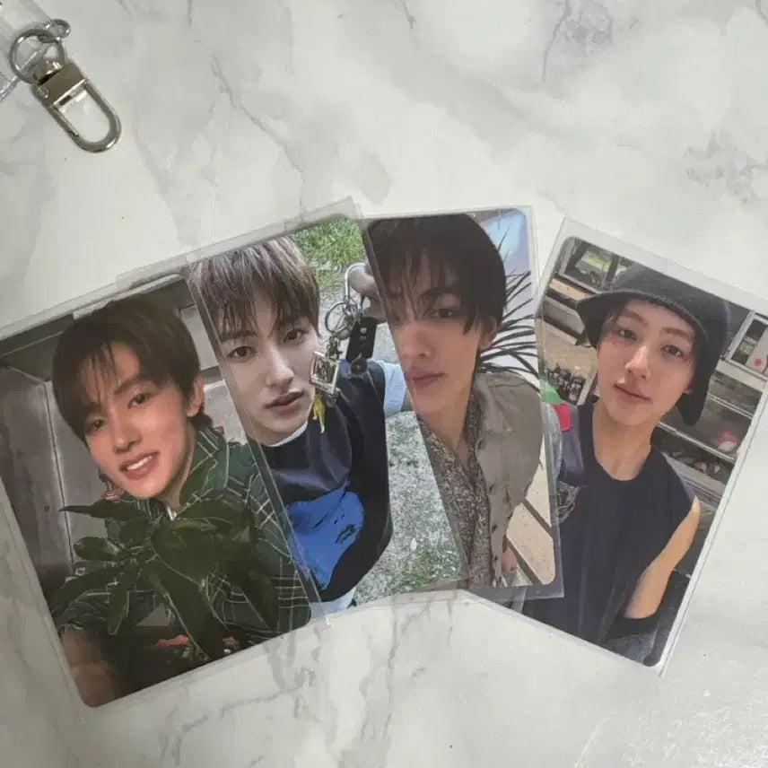 [SOLD OUT] 코르티스그린그린엄성현포카