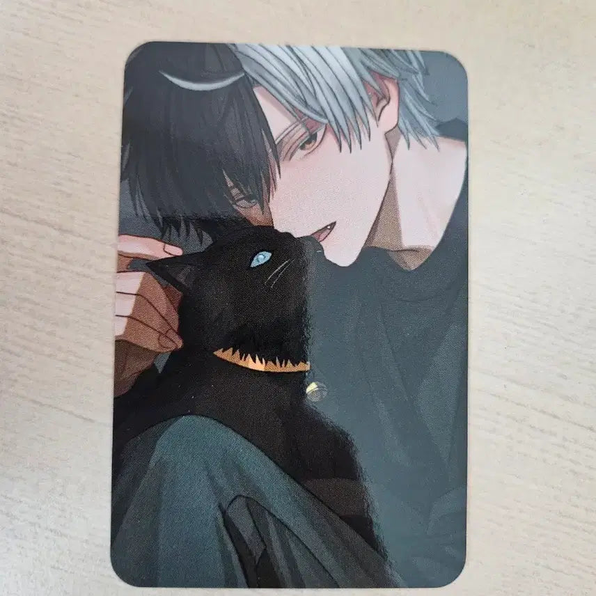 [BUNJANG] Winbre Sakura Haruka Black Cat Photocard (Unofficial) / 윈브레 사쿠라 하루카 검은 고양이 포토카드 (비공식)