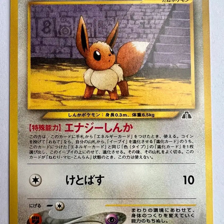 [BUNJANG] Pokemon 2000-2001 Japan First Edition Limited Eevee Promo &amp; North American Unown Cards / 포켓몬 2000-01년 일본 초판 한정판 이브이 프로모+북미판 안농 카드