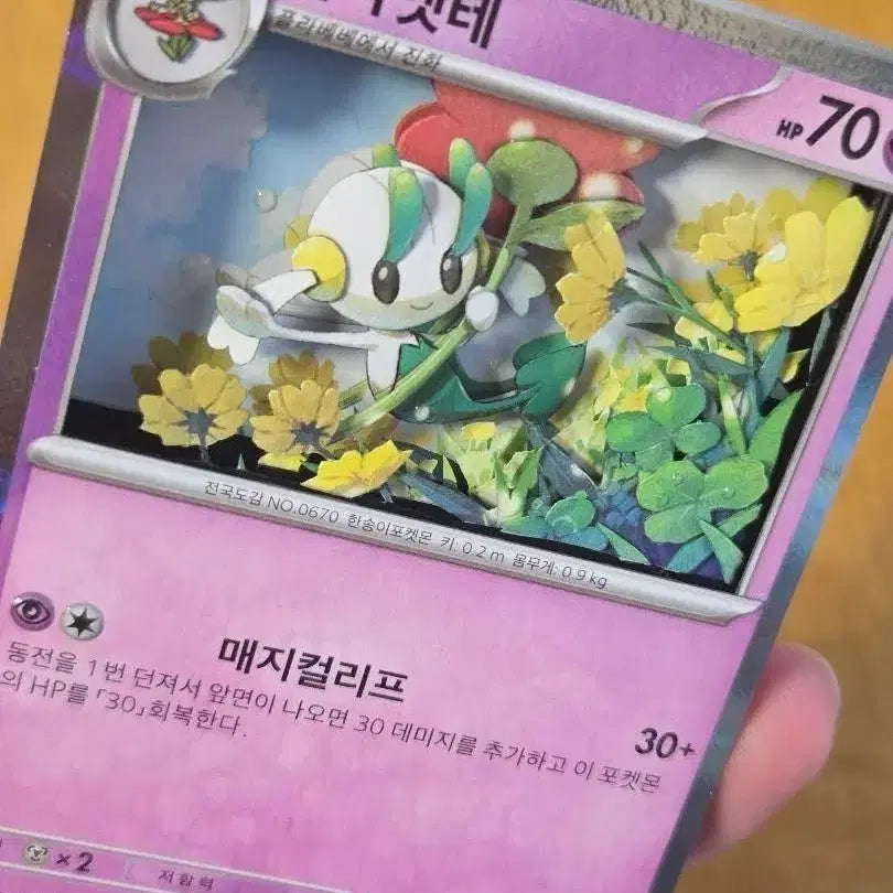 [BUNJANG] Pokemon Shadowbox Card / 포켓몬스터 플라엣테 쉐도우박스 카드