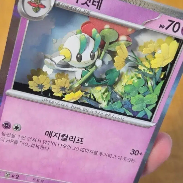 [BUNJANG] Pokemon Shadowbox Card / 포켓몬스터 플라엣테 쉐도우박스 카드