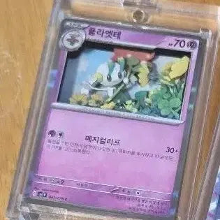 [BUNJANG] Pokemon Shadowbox Card / 포켓몬스터 플라엣테 쉐도우박스 카드