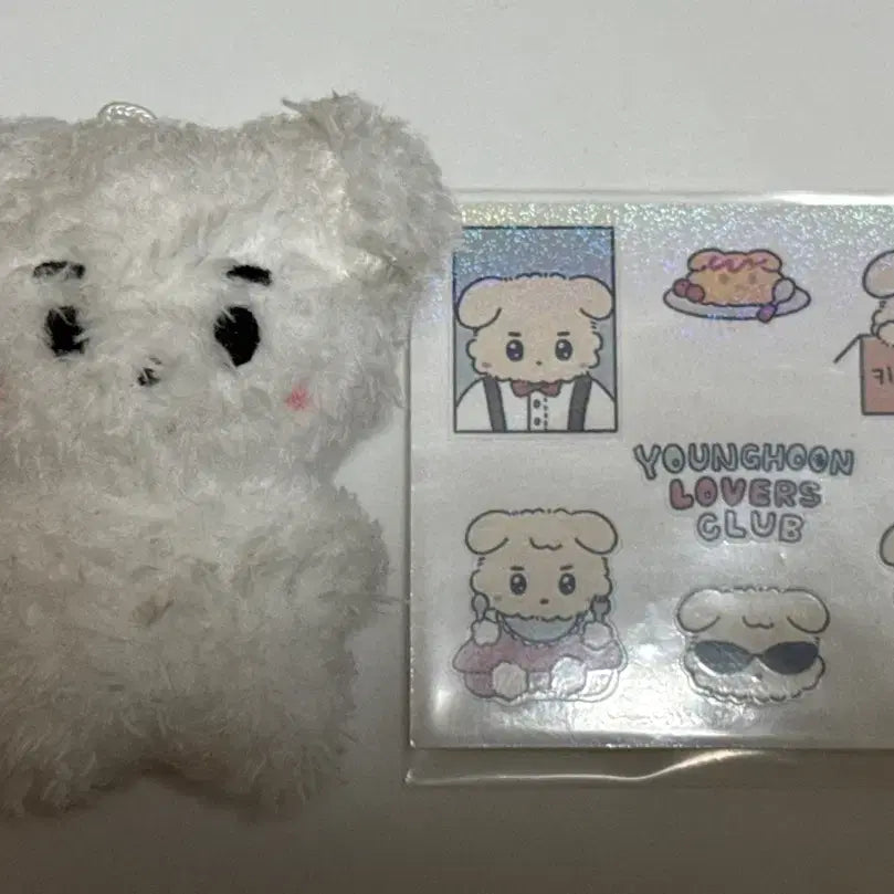 [BUNJANG] The Boyz Younghoon Doll / 더보이즈 영훈 인형 양도