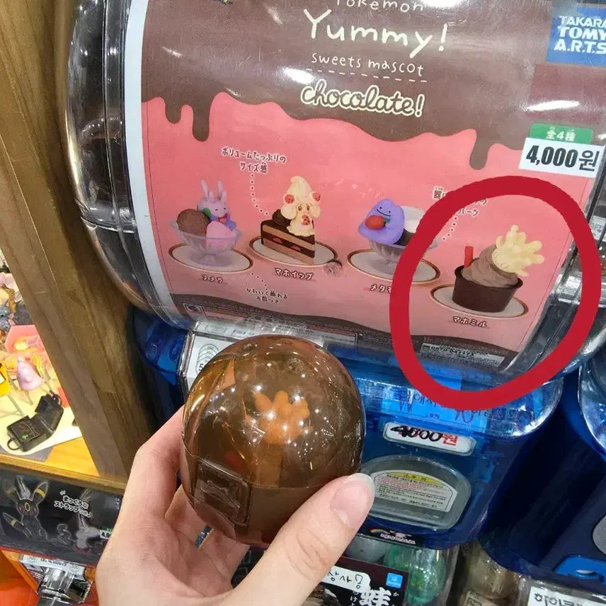 [BUNJANG] Pokemon Yummiest Sweets Chocolate Gachapon - Mablick / 포켓몬 야미스위트 초콜릿 가챠(마빌크)