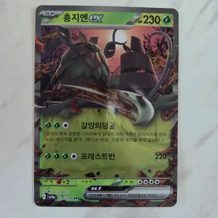 [BUNJANG] Pokemon Card Groudon EX (024/190) / 포켓몬 카드 총지엔EX (024/190)