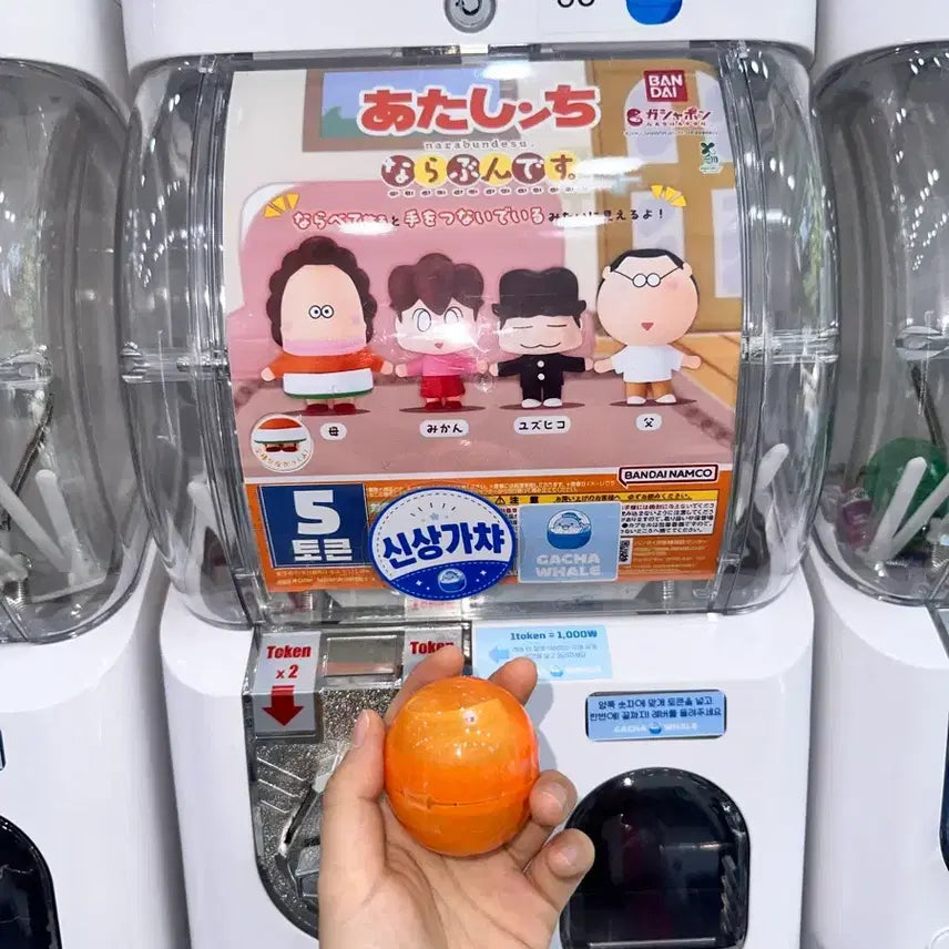 [BUNJANG] Atatamama Gacha Ari / 아따맘마 가챠 아리