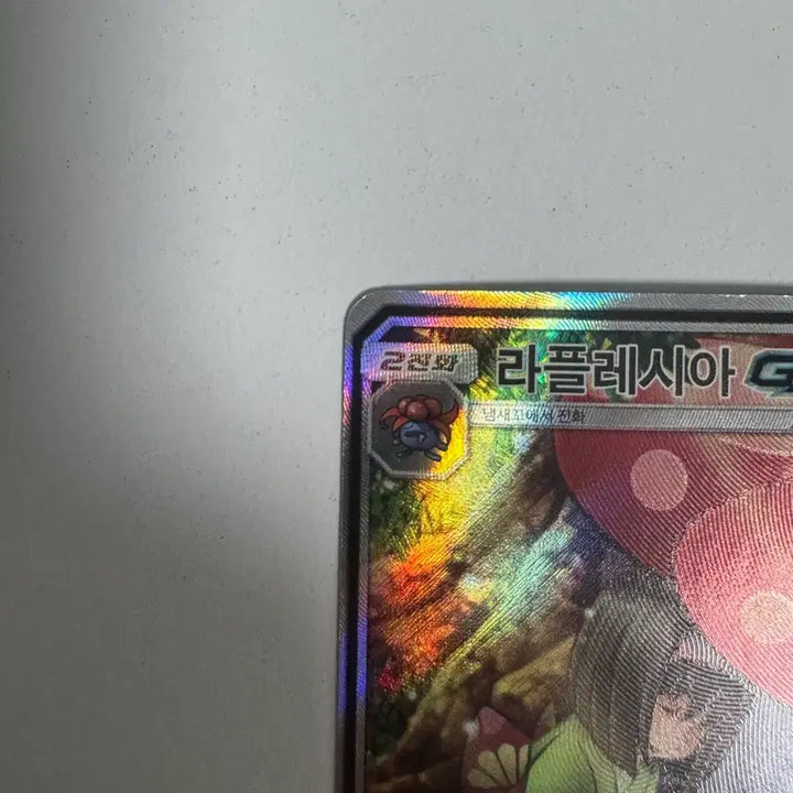 [BUNJANG] Rafflesi GX SR Special Edition Card / 라플레시아 GX SR 특일 카드
