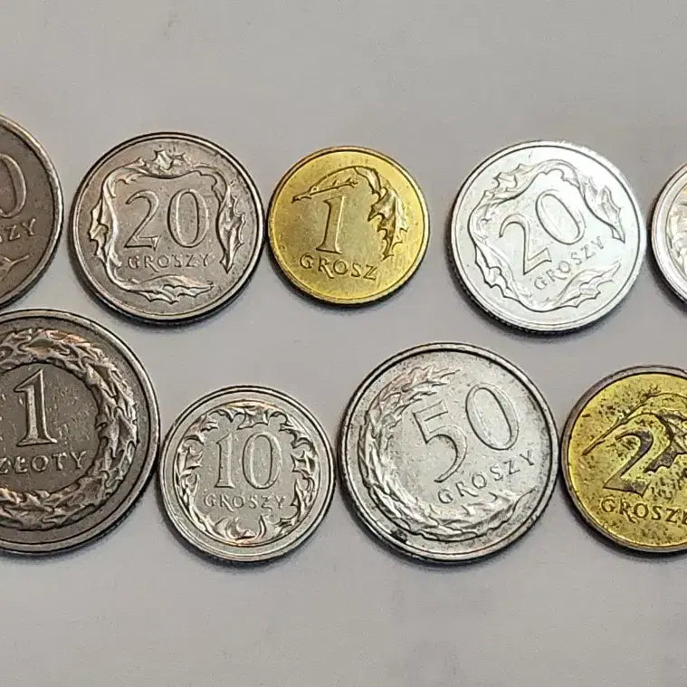 [BUNJANG] Lot of 9 Different Design Polish Coins (1991-2018) / 외국동전, 디자인 다른 폴란드 주화 9점 일괄