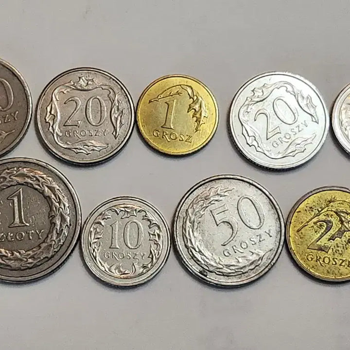 [BUNJANG] Lot of 9 Different Design Polish Coins (1991-2018) / 외국동전, 디자인 다른 폴란드 주화 9점 일괄
