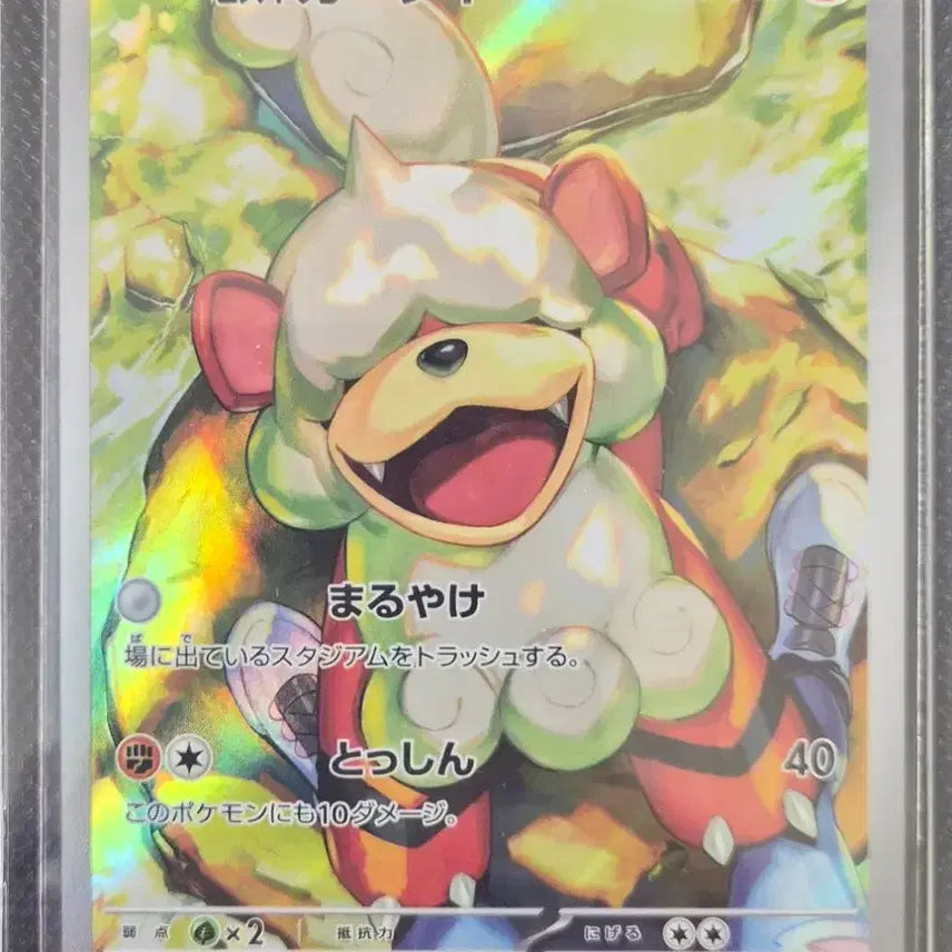 [BUNJANG] Pokemon Card AR Hisuian Zoroark Rare Cards Bundle / (일본판)포켓몬 카드ar 히스이가드 등
