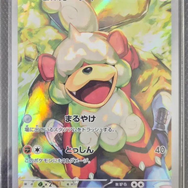 [BUNJANG] Pokemon Card AR Hisuian Zoroark Rare Cards Bundle / (일본판)포켓몬 카드ar 히스이가드 등