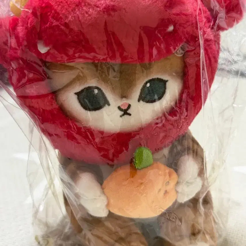 [BUNJANG] Morph Doll / 모프인형