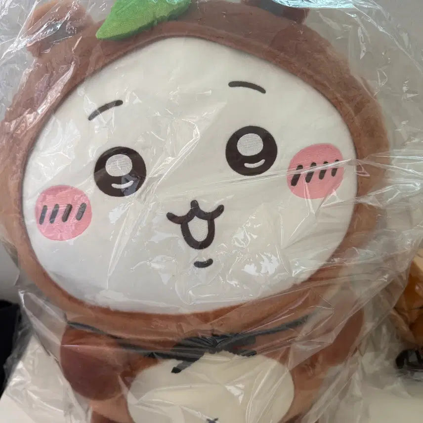 [BUNJANG] Chiikawa Tanuki Ichiban Kuji Prize A / 치이카와 너구리 쿠지 (A상 치이카와)