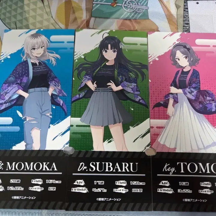 [BUNJANG] Bocchi the Rock! Togenashi Togeari Live Ticket Style Card Bundle / 걸즈 밴드 크라이 토게나시 토게아리 지류 특전 라이브티켓풍 카드