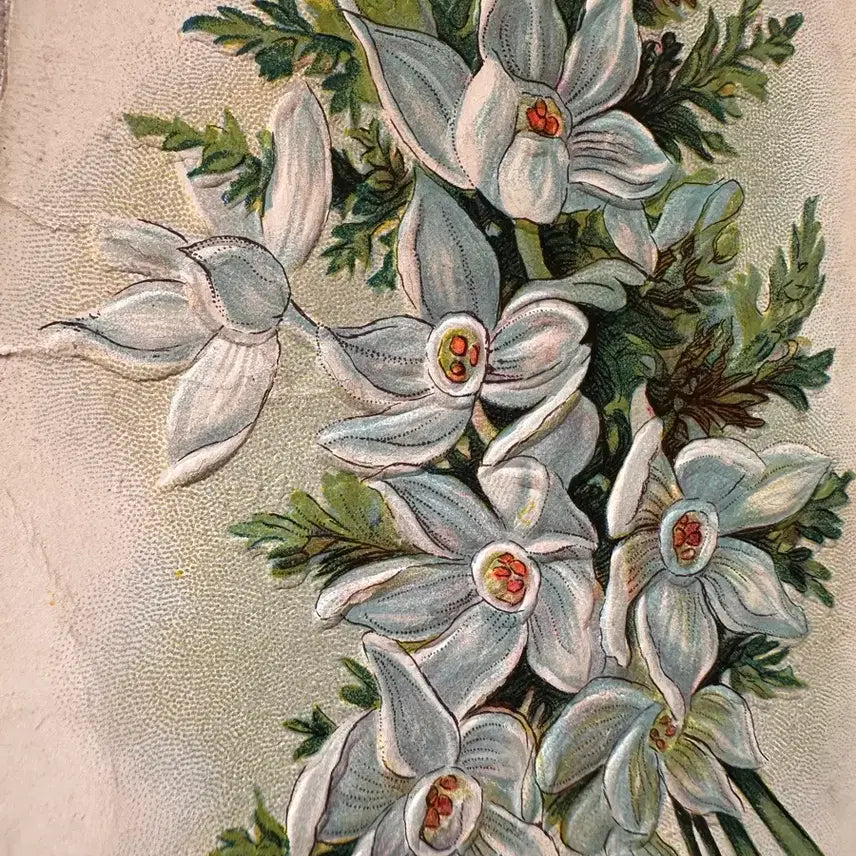 [BUNJANG] Antique Embossed Lily Postcard / 앤틱엽서 플라워 양각 백합 한다발