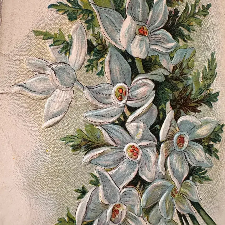 [BUNJANG] Antique Embossed Lily Postcard / 앤틱엽서 플라워 양각 백합 한다발