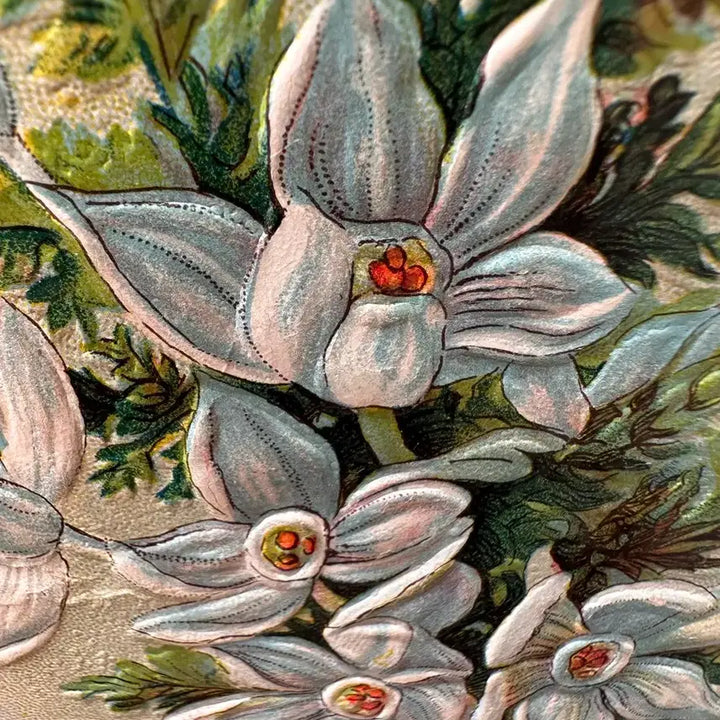 [BUNJANG] Antique Embossed Lily Postcard / 앤틱엽서 플라워 양각 백합 한다발