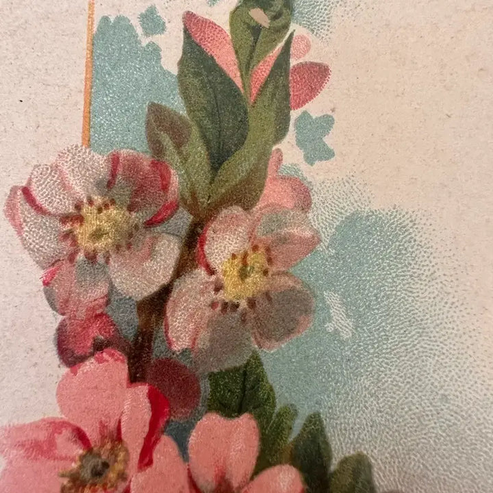 [BUNJANG] Antique Postcard Small Flower Bouquet / 앤틱엽서 작은꽃다발