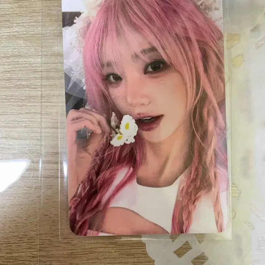 [BUNJANG] Ceremony Pop-up Magenta Photocard / 세레머니팝업마젠타포카