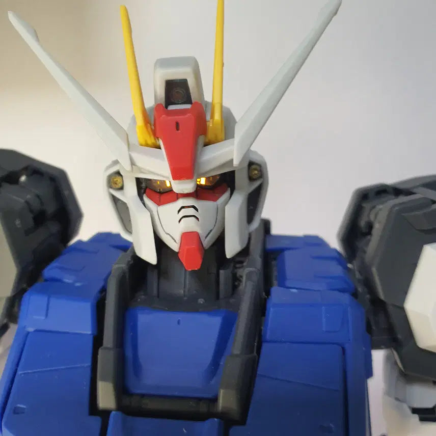 [BUNJANG] Daban PG Strike Freedom Gundam - Partially Assembled / 다반 PG스트라이크 프리덤 가조립