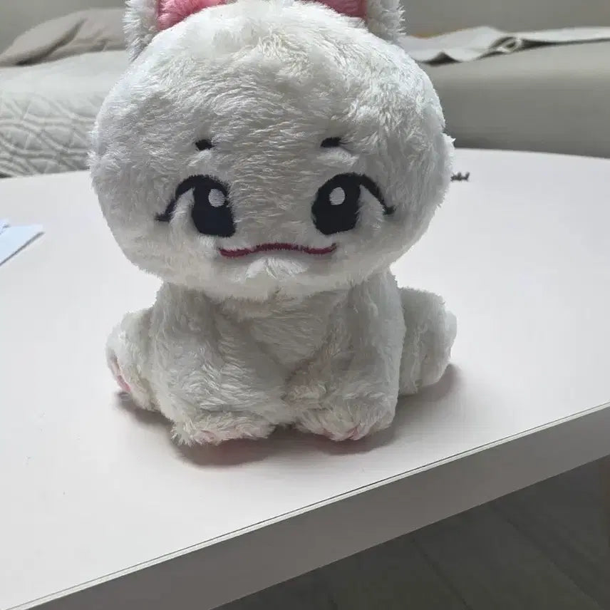 [SOLD OUT] 백뽀짝 판매합니다