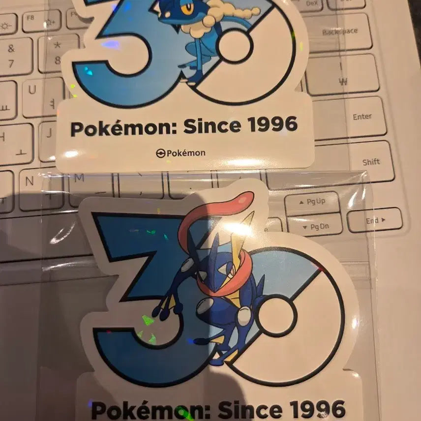 [BUNJANG] Pokemon 30th Anniversary Sticker Set (Ke Kulebanjang + Ke Kule ninja) / 포켓몬 30주년 기념 스티커(개굴반장+개굴닌자 세트)