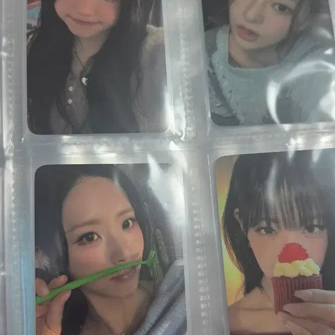[BUNJANG] fromis_9 Concert Photocard Bundle Set / 프로미스나인 콘서트 포카