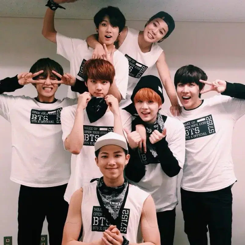 [BUNJANG] BTS 2015 Japan Official Lightstick / BTS 2015 일본공식응원봉