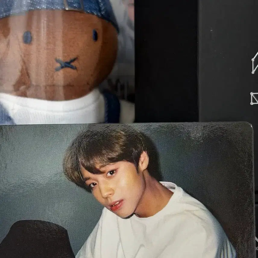[BUNJANG] Wanna One Park Jihoon Kino Photocard / 워너원 박지훈 키노 포토카드